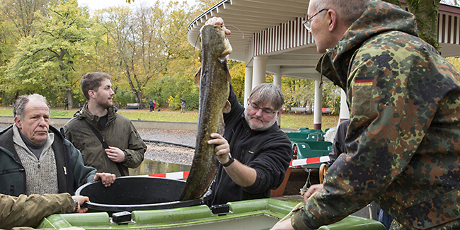 Ulrich Simons - Hangeweiher Abfischen